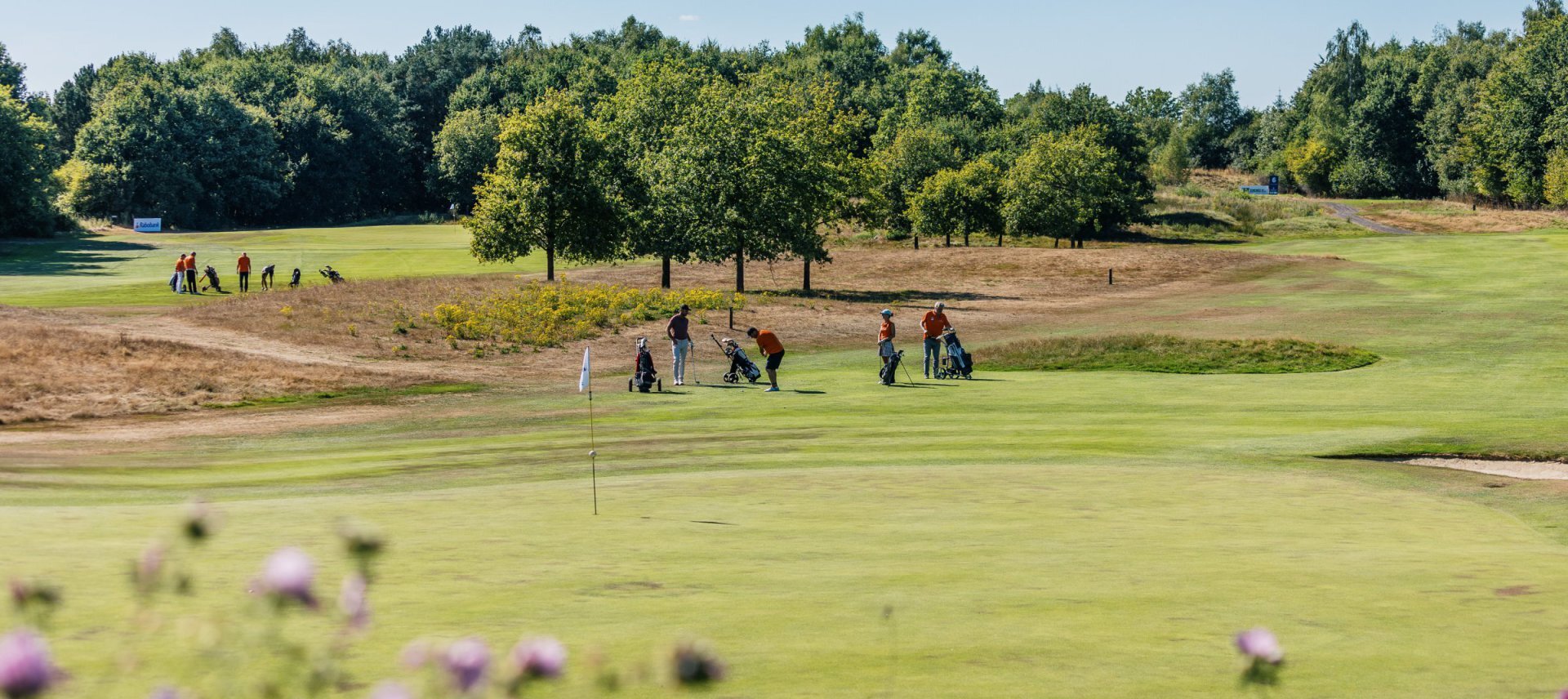 golfen in Drenthe